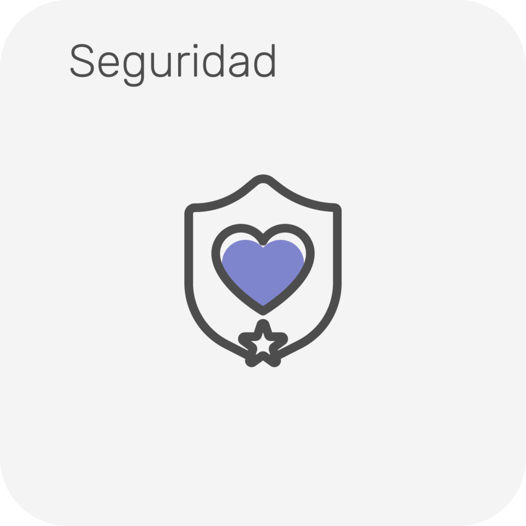 SEGURIDAD