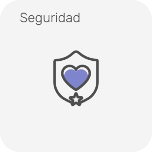 SEGURIDAD